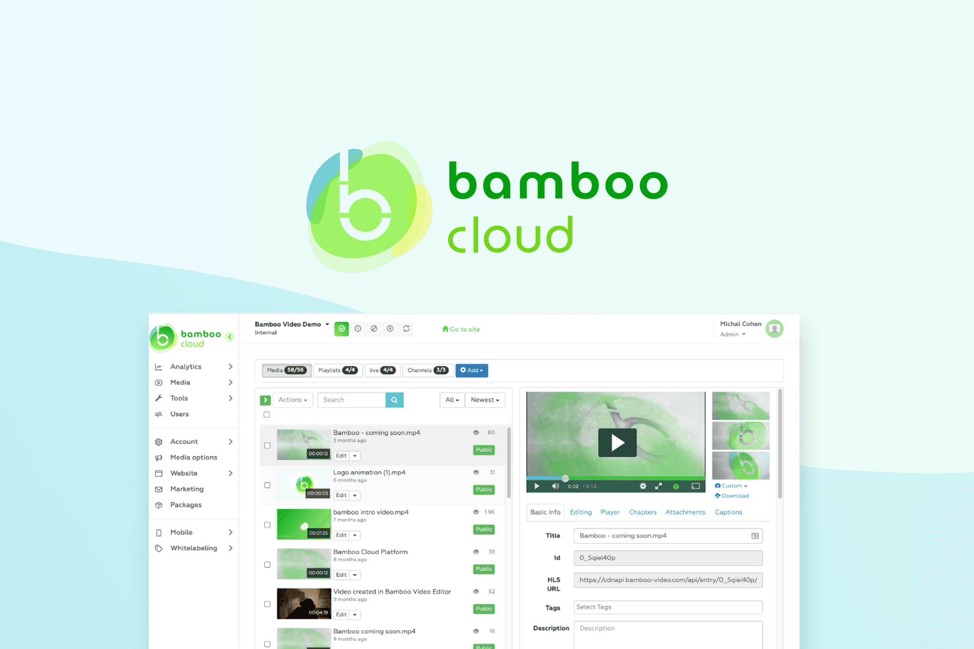 Bamboo Cloud