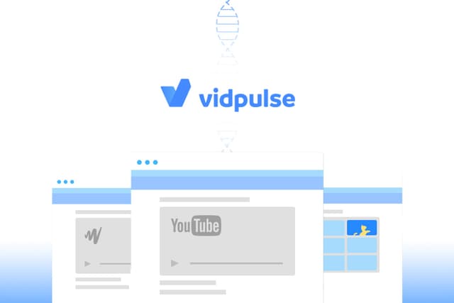Vidpulse Pro