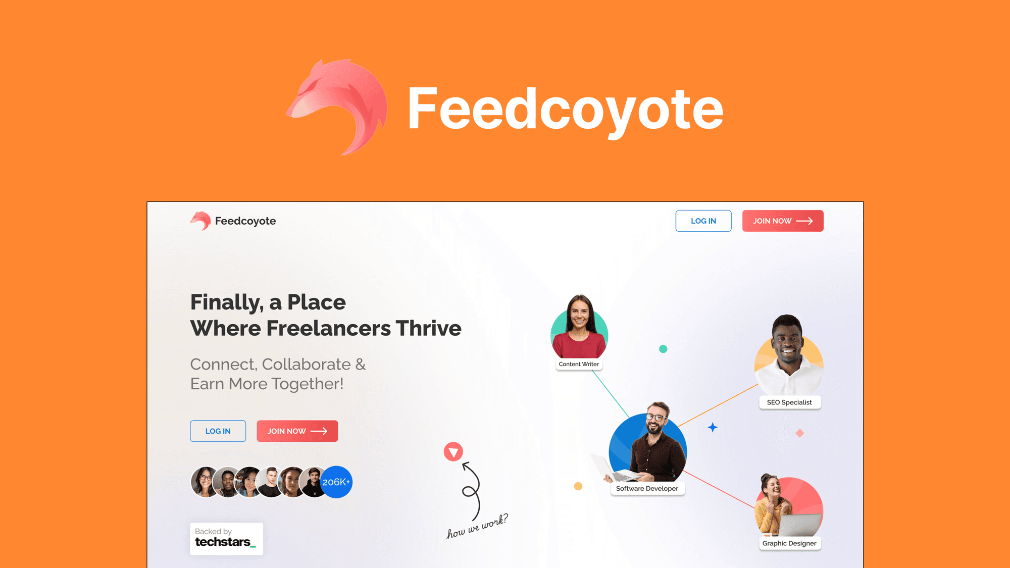 Feedcoyote