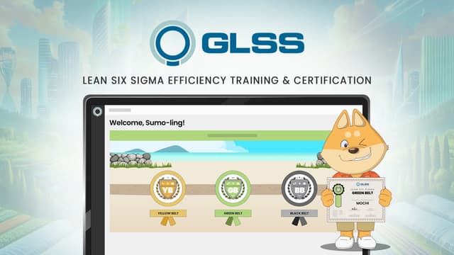 Lean Six Sigma Training & Certification